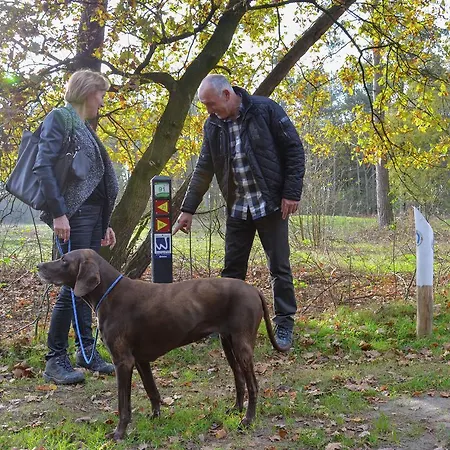 Stylish By The Сasa de vacaciones Heel